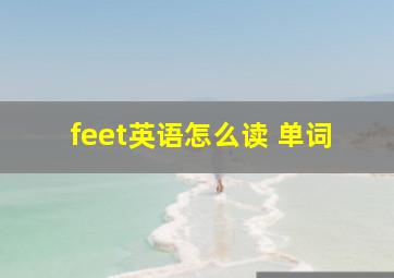 feet英语怎么读 单词